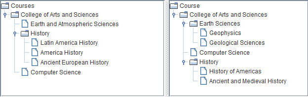 Two example course catalogs classifications